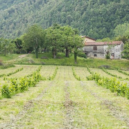 Podere Groppini Fivizzano Exterior photo