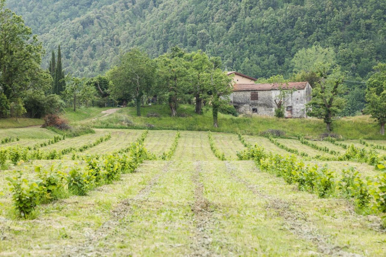 Podere Groppini Fivizzano Exterior photo
