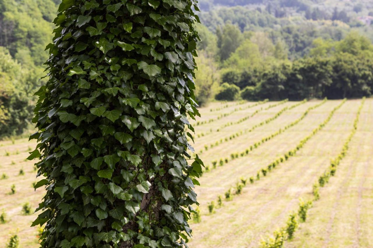 Podere Groppini Fivizzano Exterior photo