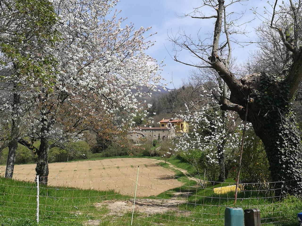 Podere Groppini Fivizzano Exterior photo